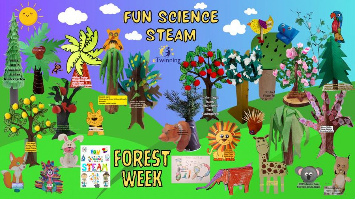 Fun Science STEAM eTwinning projesi kapsamında orman haftası etkinlikleri 